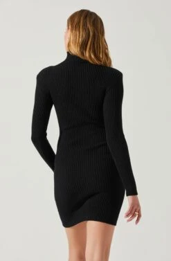 Gwendolyn Turtleneck Sweater Mini Dress 18 Gwendolyn Turtleneck Sweater Mini Dress -Astr The Label Shop ACDR100970SH BLACK 5