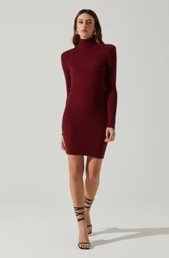 Gwendolyn Turtleneck Sweater Mini Dress 22 Gwendolyn Turtleneck Sweater Mini Dress -Astr The Label Shop ACDR100970SH WINE 1
