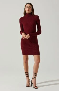 Gwendolyn Turtleneck Sweater Mini Dress 20 Gwendolyn Turtleneck Sweater Mini Dress -Astr The Label Shop ACDR100970SH WINE 2