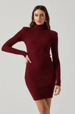 Gwendolyn Turtleneck Sweater Mini Dress 21 Gwendolyn Turtleneck Sweater Mini Dress -Astr The Label Shop ACDR100970SH WINE 3
