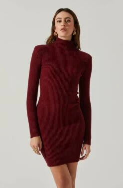 Gwendolyn Turtleneck Sweater Mini Dress 23 Gwendolyn Turtleneck Sweater Mini Dress -Astr The Label Shop ACDR100970SH WINE 4
