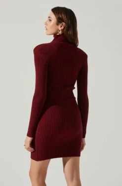 Gwendolyn Turtleneck Sweater Mini Dress 24 Gwendolyn Turtleneck Sweater Mini Dress -Astr The Label Shop ACDR100970SH WINE 5