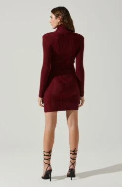 Gwendolyn Turtleneck Sweater Mini Dress 25 Gwendolyn Turtleneck Sweater Mini Dress -Astr The Label Shop ACDR100970SH WINE 6