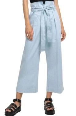 Hayden Pants 10 Hayden Pants -Astr The Label Shop ACP7034 LIGHT WASH DENIM 4