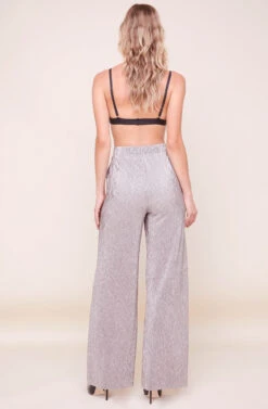 Aileen Wide Leg Plisse Pant -Astr The Label Shop ACP7192 PEWTER 4