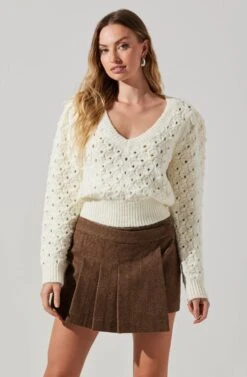 Theodora Pleated Mini Skirt -Astr The Label Shop ACS9141 BROWN 3