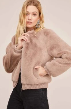 Frankie Jacket -Astr The Label Shop ACT15605 TAUPE 3