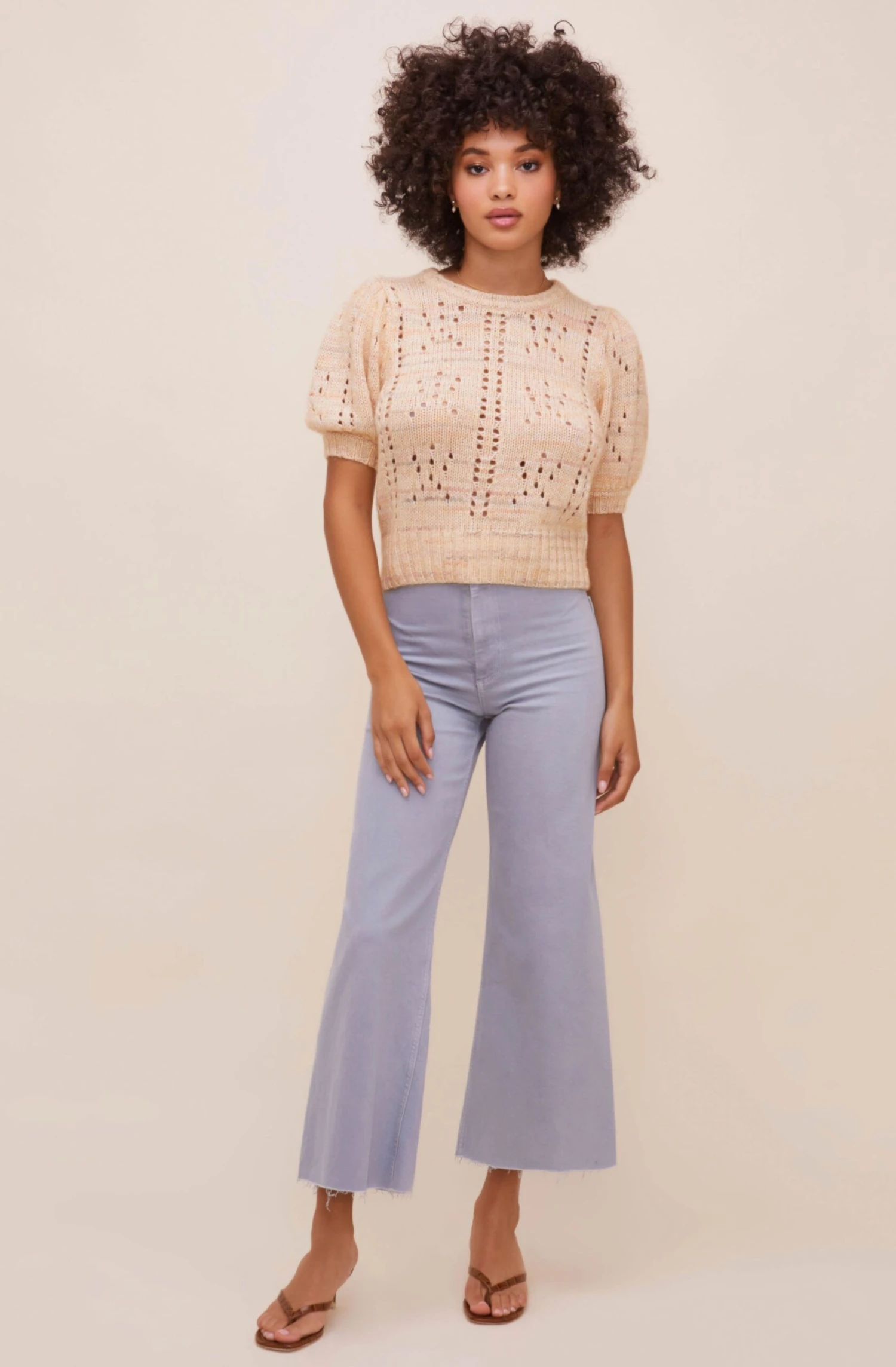 Songstress Pointelle Short Sleeve Sweater 5 Songstress Pointelle Short Sleeve Sweater - Image 3