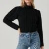 Haisley Cable Knit Turtleneck Sweater -Astr The Label Shop ACT17358 BLACK 3