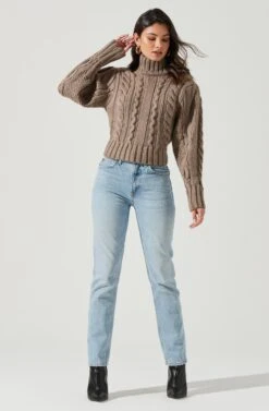 Haisley Cable Knit Turtleneck Sweater -Astr The Label Shop ACT17358 BROWN 0734