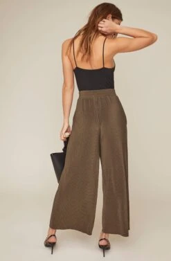 Pleated Wide Leg Pant -Astr The Label Shop AP7071 OLIVE 6A