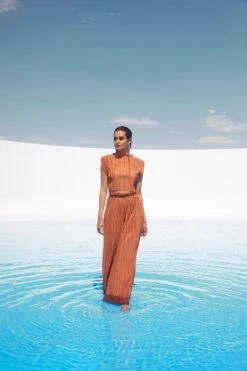 Cruise Pleated Wide Leg Pants 13 Cruise Pleated Wide Leg Pants -Astr The Label Shop ASTR SPR22 PT1 1561