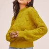 Pointelle Sweater -Astr The Label Shop AT15454B CITRON YELLOW 3