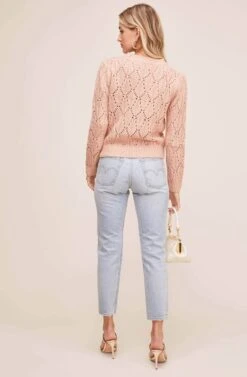 Dee Dee Pointelle Sweater -Astr The Label Shop AT15622 BLUSH 4