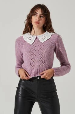 Embroidered Collar Sweater -Astr The Label Shop AT17402 PURPLE 2