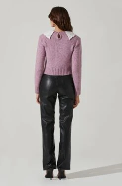 Embroidered Collar Sweater -Astr The Label Shop AT17402 PURPLE 4