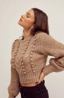 Tina Pom Pom Sweater -Astr The Label Shop FallSweaters 0048