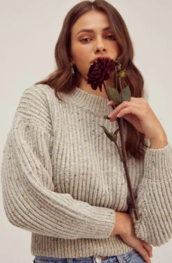 Regis Mock Neck Sweater -Astr The Label Shop FallSweaters ACT15466C GRAYSPECKLE 2